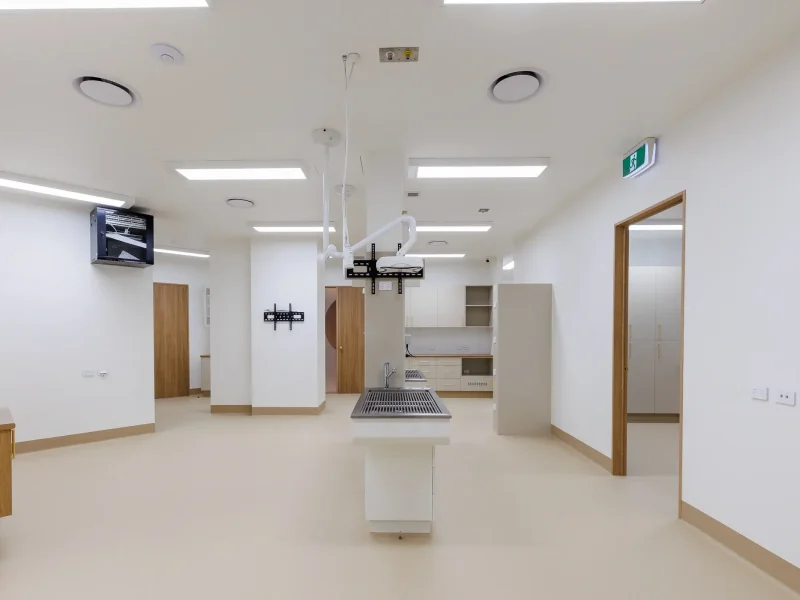 My Kind Of Vet -11