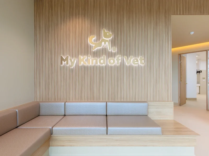 My Kind Of Vet-34