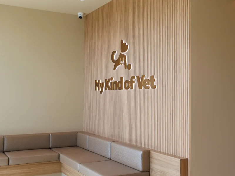 My Kind Of Vet-57